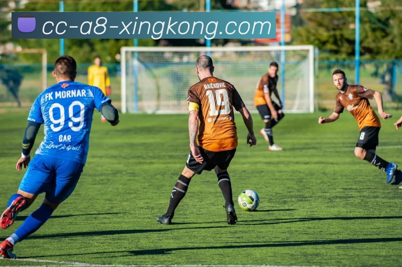奖项图2